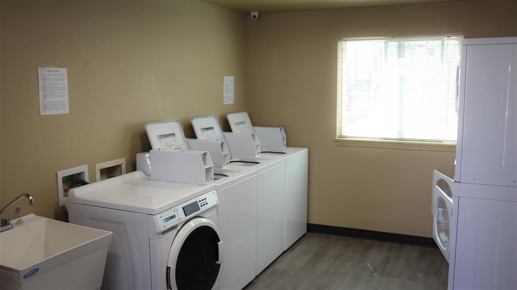 Gallery Photo 37